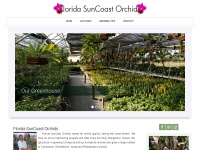 floridasuncoastorchids.com Thumbnail