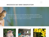 Braddockbaybirdobservatory.wordpress.com