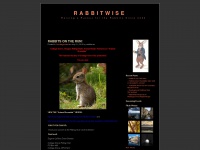 Rabbitwise.wordpress.com