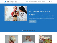 anatomy-model.com Thumbnail