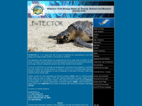 Turtleprotector.org