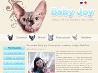 babyjoycats.com Thumbnail