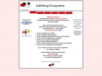 ladybugcomputers.com