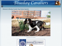 bluedaycavaliers.com Thumbnail