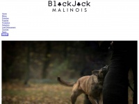 Blackjackmalinois.com