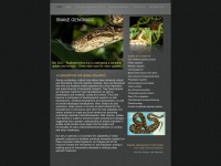 snakegenomics.org Thumbnail