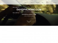 Davidpaladino.com
