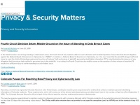 privacyandsecuritymatters.com Thumbnail