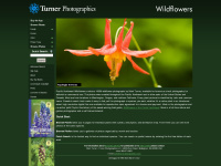 Pnwflowers.com