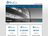 bluecaycapital.com Thumbnail