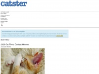 catster.com Thumbnail