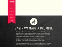 Saginawpromise.org