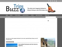 buzztrips.co.uk Thumbnail