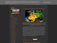 Reeftectonics.blogspot.com