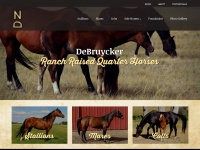 nldquarterhorses.com