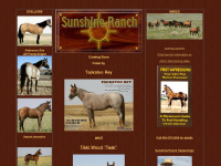 Sunshinehorse.com