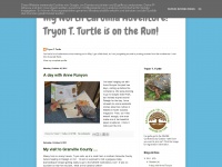 Tryonturtlenc.blogspot.com