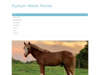 Welshpony.net