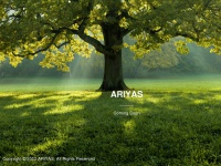 ariyas.com Thumbnail