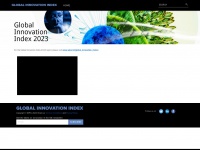 globalinnovationindex.org Thumbnail