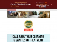 carpetcleaningprovidence-ri.com Thumbnail