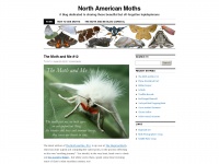 Moths.wordpress.com