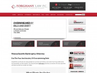 Forghanylaw.com