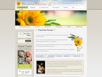 bloomforlife.com