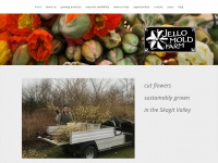 Jellomoldfarm.com