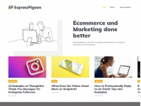 expresspigeon.com