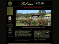 belcam.com.au Thumbnail