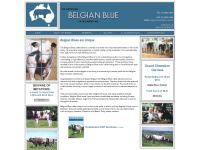 belgianblues.com.au