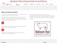 Belmontred.com.au