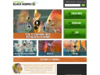 Blackworms.com.au