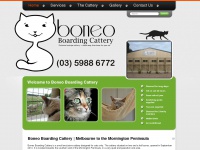 boneoboardingcattery.com.au