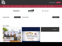 campdraft.com.au Thumbnail