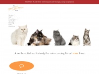 catdoctor.com.au Thumbnail
