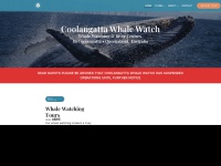 coolangattawhalewatch.com.au Thumbnail