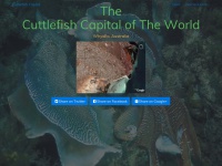 cuttlefishcapital.com.au Thumbnail