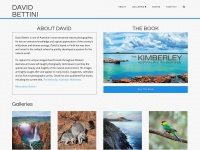 Davidbettini.com.au