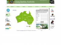 dungbeetle.com.au