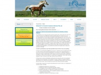 e-quine.com.au Thumbnail