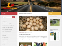 Keepingchickens.com.au