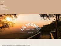 lilyponds.com.au