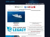 marineencounters.com.au Thumbnail