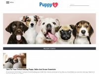 puppyluv.com.au
