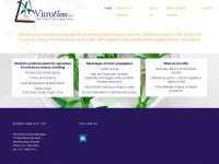 Vitroflora.com.au