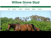 willowgrovestud.com.au Thumbnail