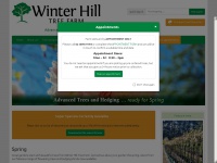 winterhill.com.au Thumbnail