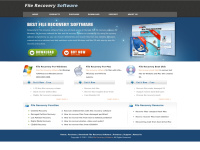 file-recovery-software.biz